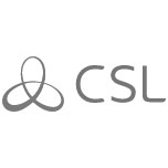 csl_logo seyfcom security systems dalston, london