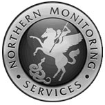 nms_logo seyfcom security systems dalston, london